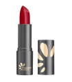 BARRA DE LABIOS rojo polvora 3,5gr.