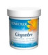 JENGIBRE 280mg. 200cap.