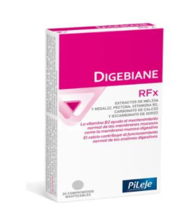 DIGEBIANE RFX 20comp. mast.
