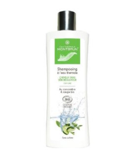 CHAMPU CABELLO GRASO con agua termal 250ml. BIO