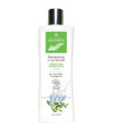 CHAMPU CABELLO GRASO con agua termal 250ml. BIO