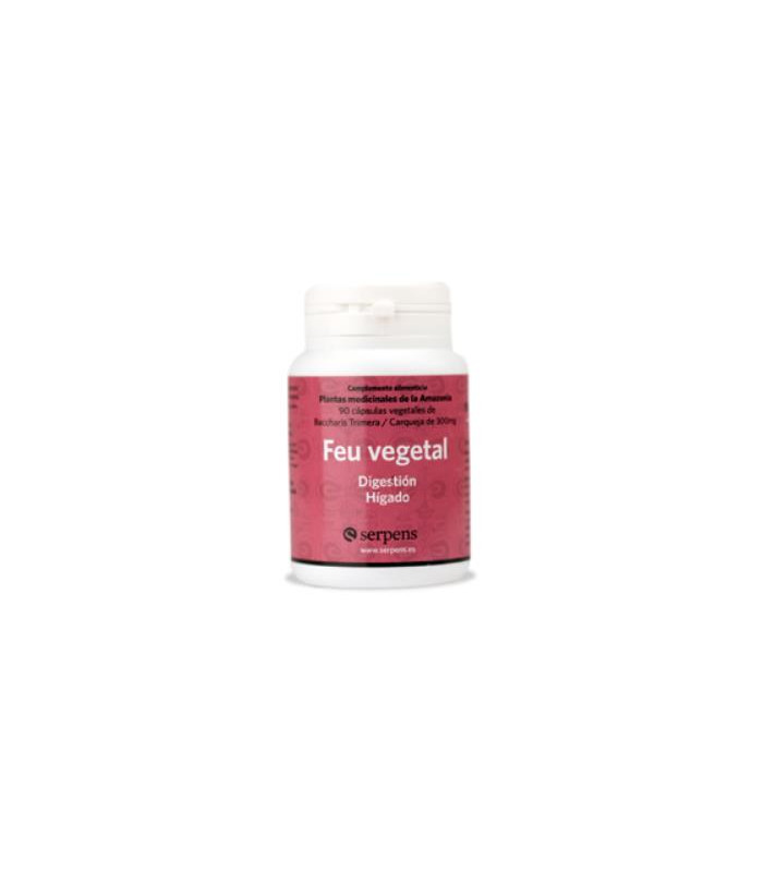 FEU VEGETAL digestion 90cap.