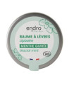 BALSAMO LABIAL Mint 15gr.