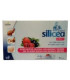 SILICIEA DIRECT + biotina + selenio 15sticks