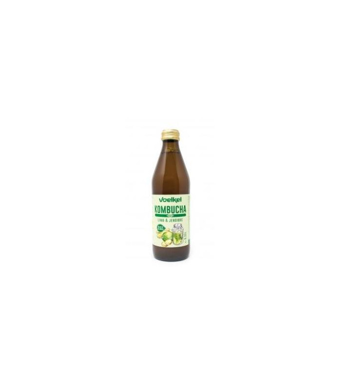 KOMBUCHA LIMA Y JENGIBRE 330ml. BIO