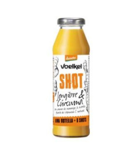 SHOT DE JENGIBRE CURCUMA NARANJA ACEROLA LIMON 280