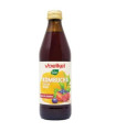 KOMBUCHA FRUTOS ROJOS 330ml. BIO