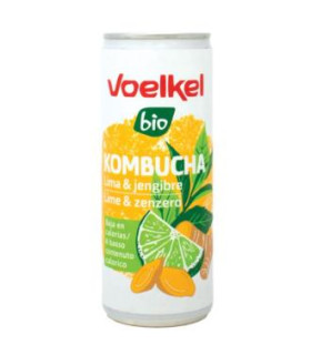 KOMBUCHA LINA-JENGIBRE lata 250 ml BIO