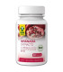 GRANADA 80cap. BIO SG VEGAN