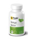 GINKGO BILOBA 500mg 60 cap BIO VEGAN SG