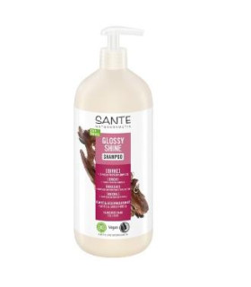 CHAMPU BRILLO RADIENTE 950 abedul 1l.