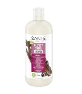 CHAMPU BRILLO RADIANTE ABEDUL 500 ml