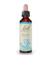 FLORES BACH BEECH haya 20ml.