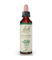 FLORES BACH CENTAURY centaura menor 20ml.