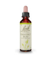 FLORES BACH CHESTNUT BUD brote castaño 20ml.