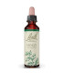 FLORES BACH HOLLY acebo 20ml.