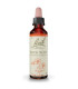 FLORES BACH ROCK ROSE heliantemo 20ml.