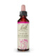 FLORES BACH STAR OF BETHLEHEM leche gallina 20ml.