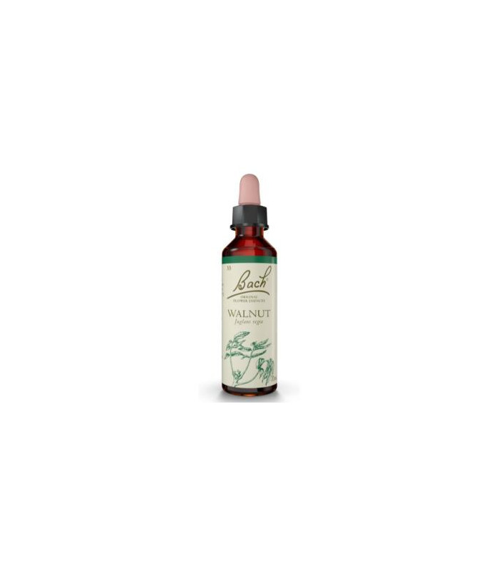 FLORES BACH WALNUT nogal 20ml.
