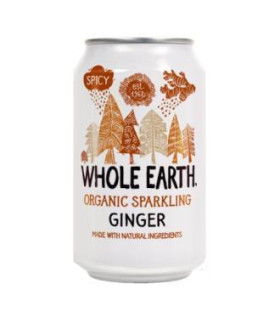 REFRESCO DE JENGIBRE 300ml BIO S/A