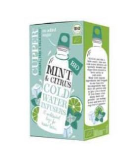MENTA Y CITRICOS infusion fria 10bolsitas. BIO