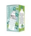 MENTA Y CITRICOS infusion fria 10bolsitas. BIO