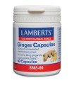 GINGER jengibre 60cap.