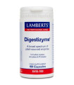 DIGESTIZYME (Complejo de Enzimas) 100 cap.