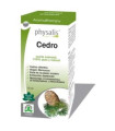 ESENCIA CEDRO 10ml. BIO