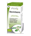 ESENCIA RAVINTSARA 10ml. BIO