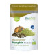 PUMPKIN PROTEIN RAW proteina de calabaza 300gr BIO