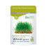 WHEAT GRASS RAW jugo de trigo 150gr. BIO