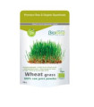 WHEAT GRASS RAW jugo de trigo 150gr. BIO