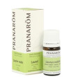 LAUREL aceite esencial 5ml.
