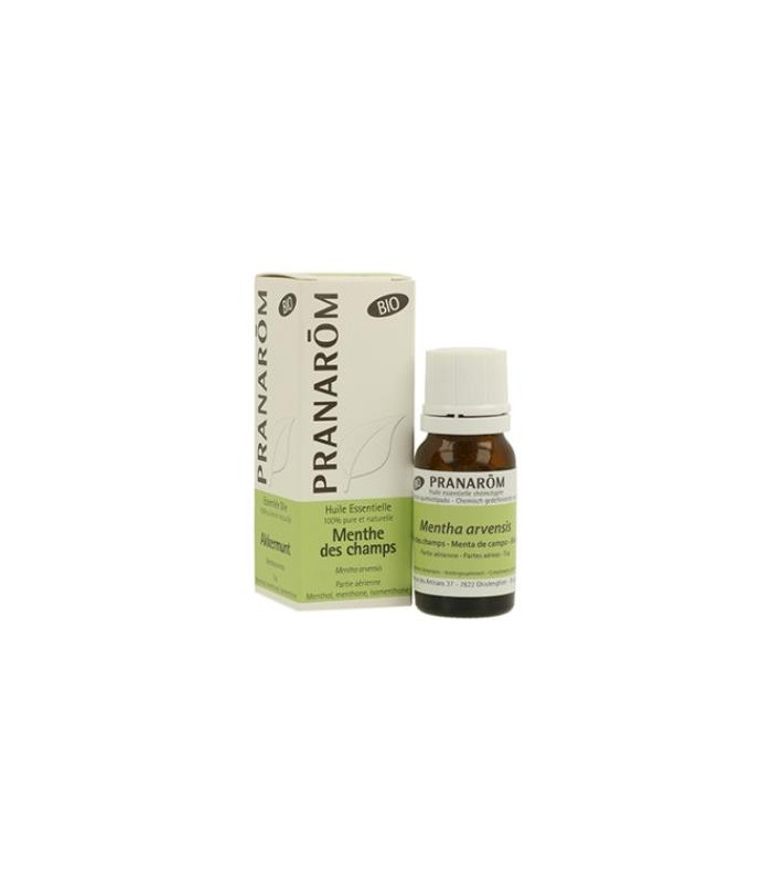 MENTA DE CAMPO aceite esencial BIO 10ml.