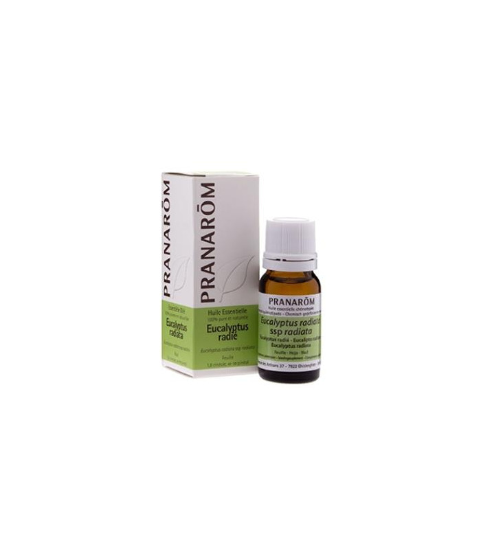 EUCALIPTO RADIATA hoja aceite esencial BIO 10ml.