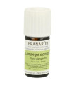 YLANG-YLANG extra aceite esencial 5ml.