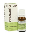 LAVANDIN SUPER aceite esencial BIO 10ml.