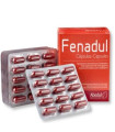 FENADUL 90cap.