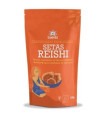 SETAS REISHI superalimento 100gr. BIO
