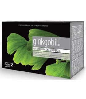GINKGOBIL 20amp.