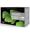 GINKGOBIL 20amp.