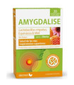 AMYGDALISE sabor menta 20comp mastic.