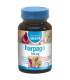 HARPAGO 500mg. 90comp.