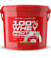 100% WHEY PROTEIN PROF. 5000G PLATANO