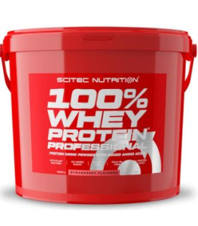 100% WHEY PROTEIN PROF. 5000G FRESA