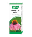 ECHINAFORCE 50ml.