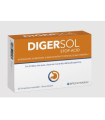 DIGERSOL 20comp.masticables