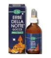 ERBE DELLA NOTTE extr.sin alcohol 50ml.
