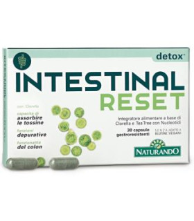 INTESTINAL RESET 15comp.
